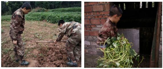 重庆全封闭学校